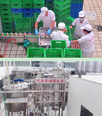 六一還是世界牛奶日~趣說咱濟(jì)南乳企興牛,老頑童的一面