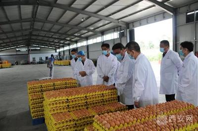 市復(fù)審辦檢查藍(lán)田縣、閻良區(qū)國(guó)家食品安全示范城市復(fù)審迎檢工作
