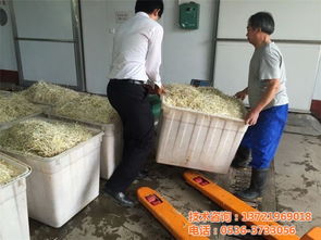 創業就選芽苗菜豆芽機,四季陽光食品機械,豆芽機